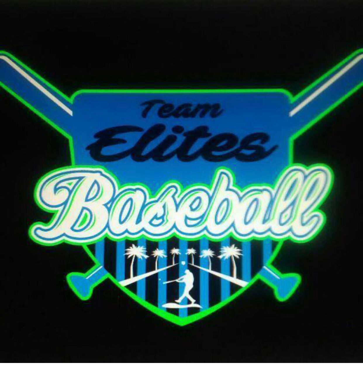 Team Elite Baseball